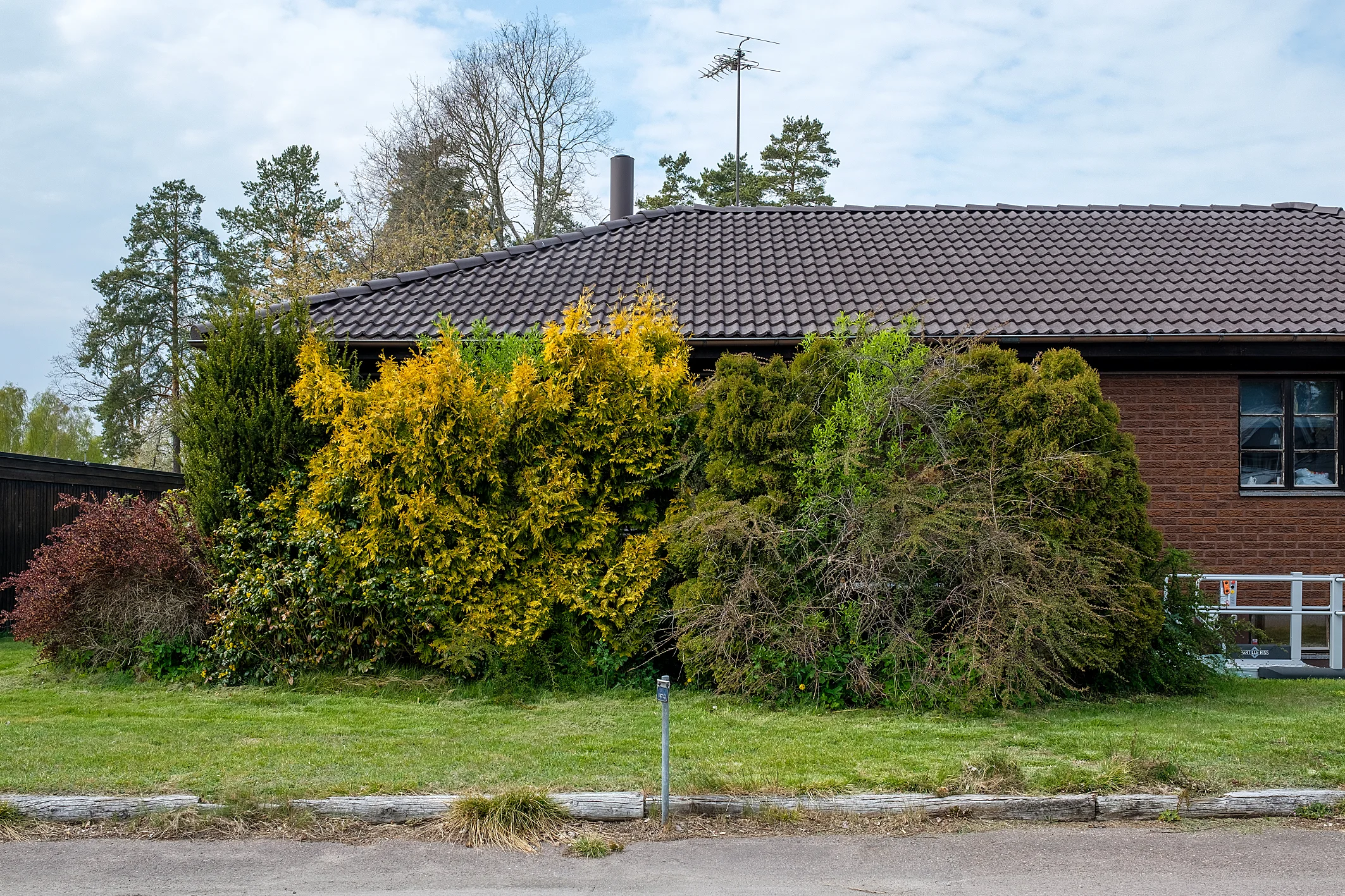 DSCF4805-HDR.jpg