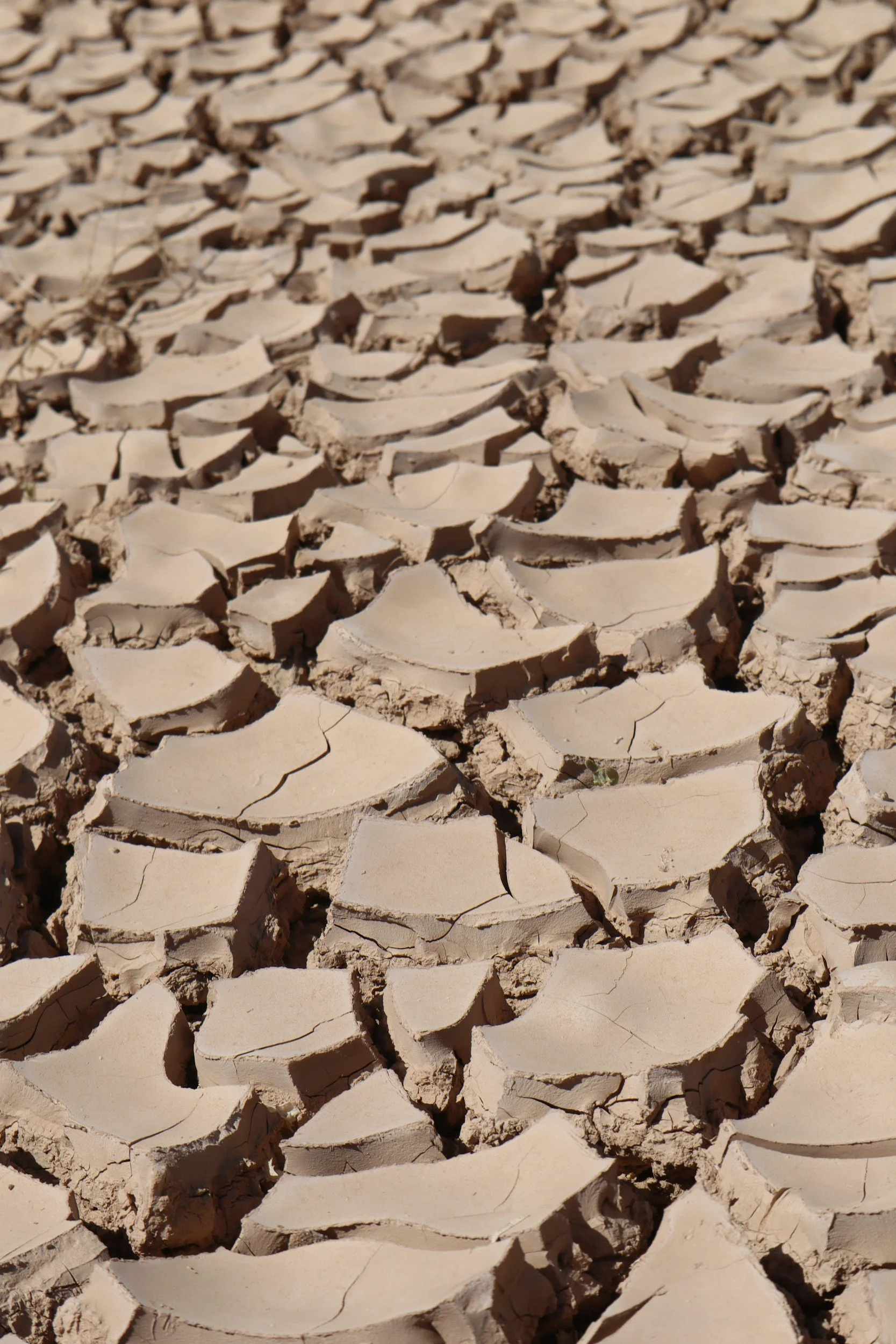 Cracked dry lakebed texture in the desert inspired by erosion, sediment, and landscapes of the American West.