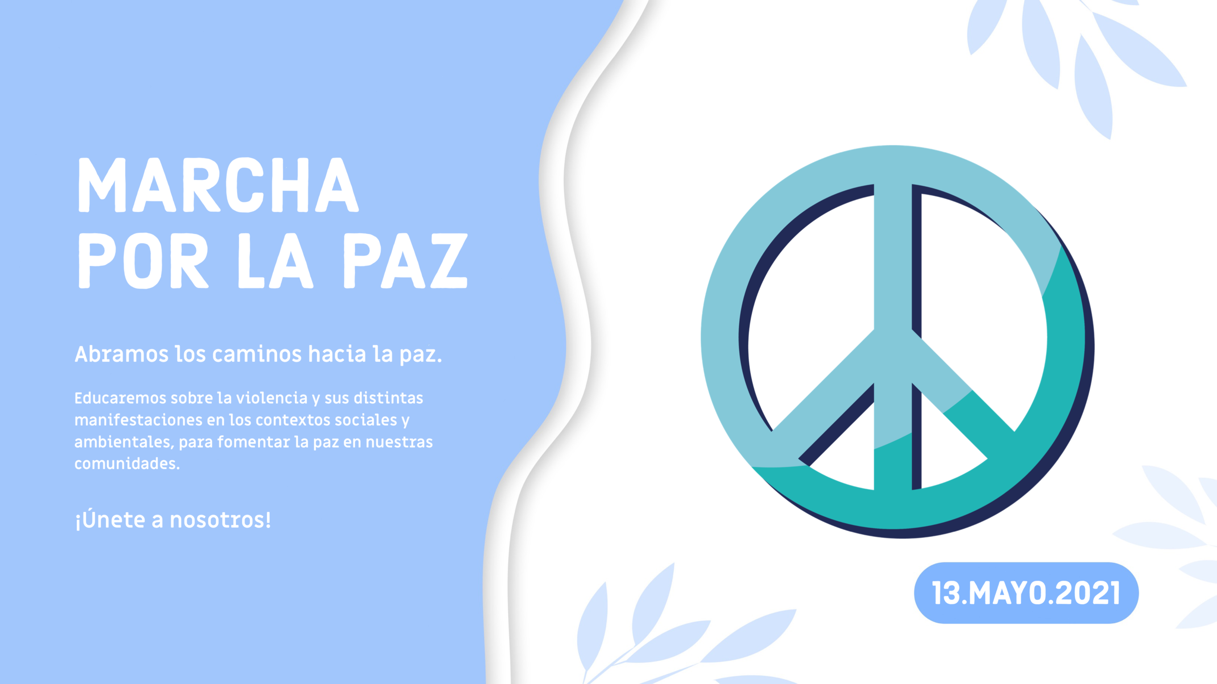 header paz.PNG