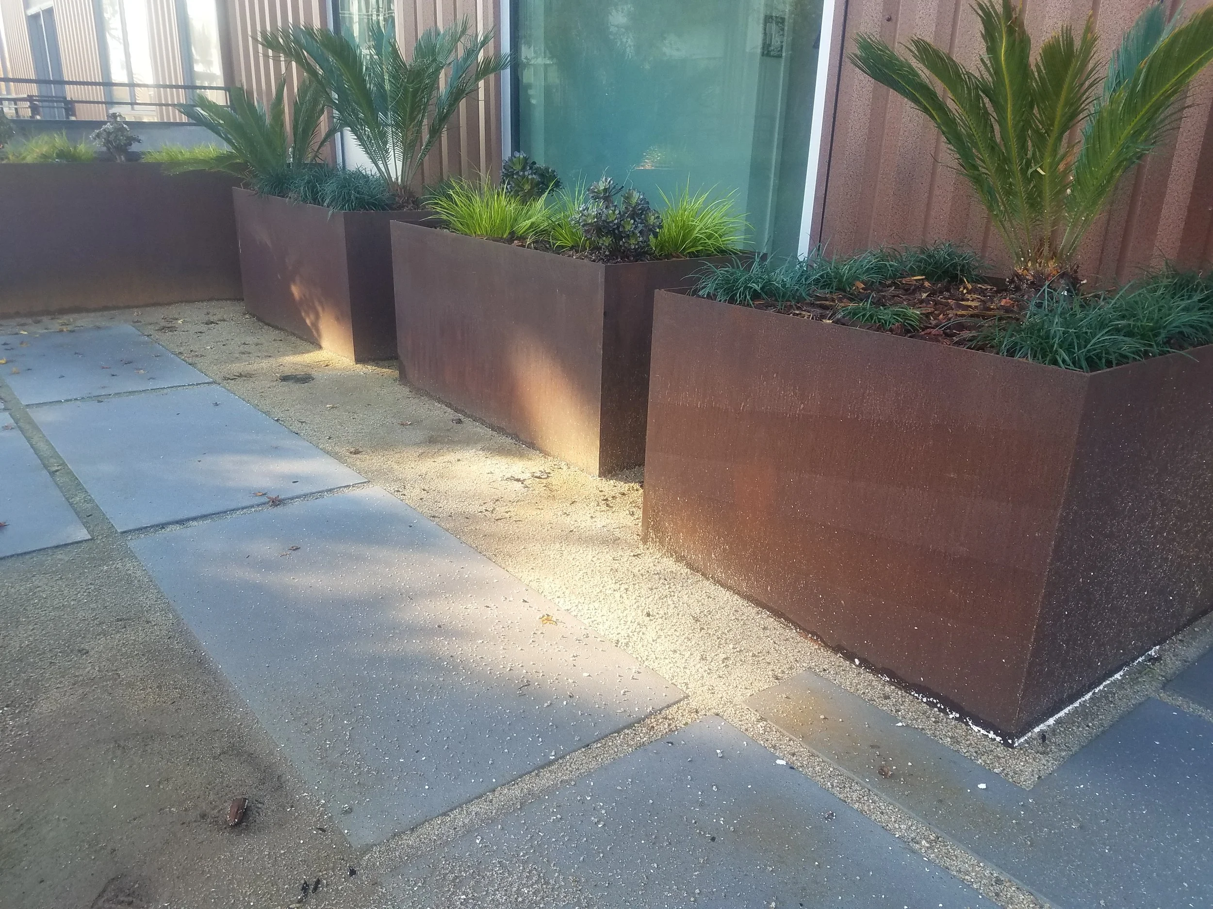 20171127_094435.jpg