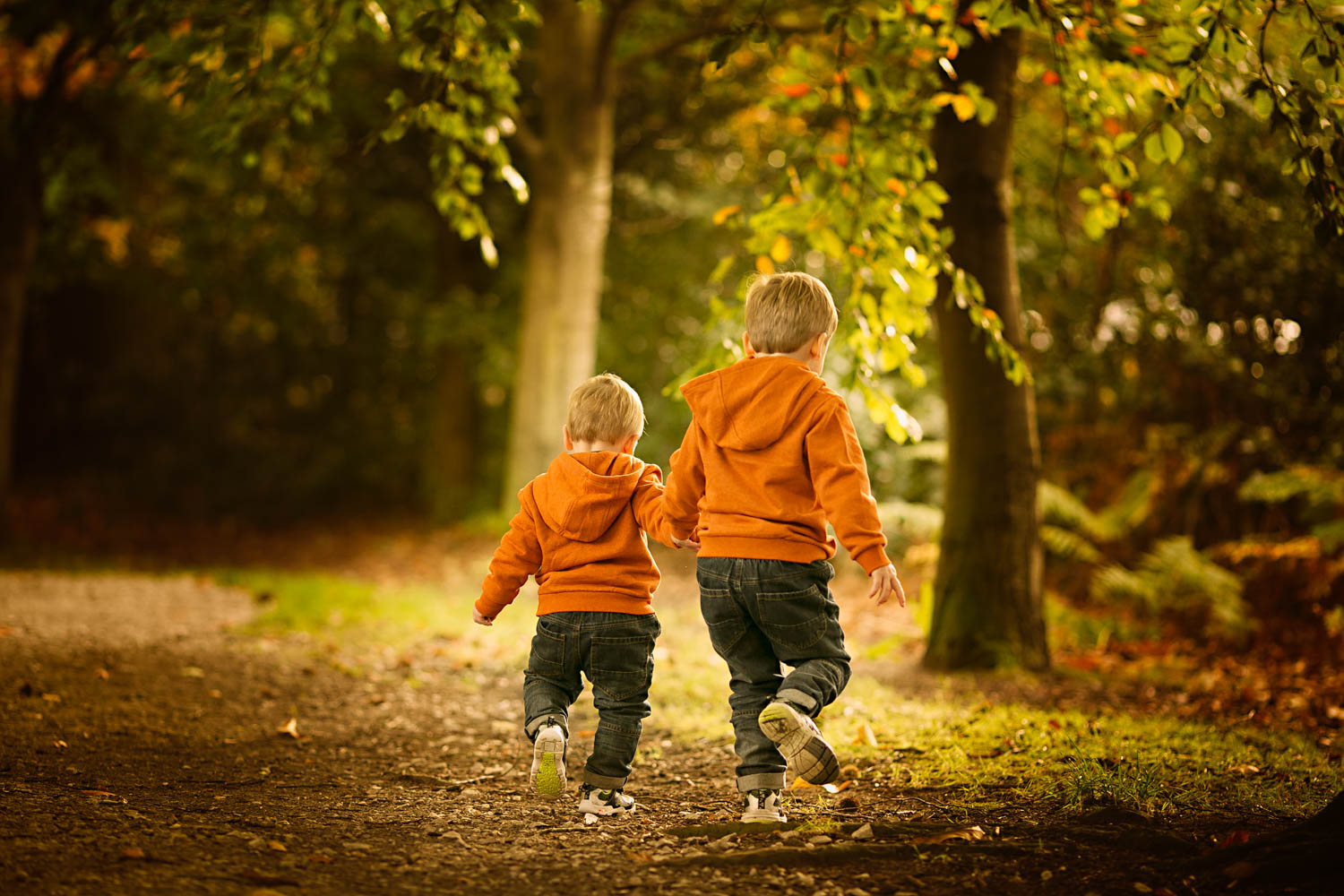  Young brothers holding hands during a family autumn portrait photosoot. 