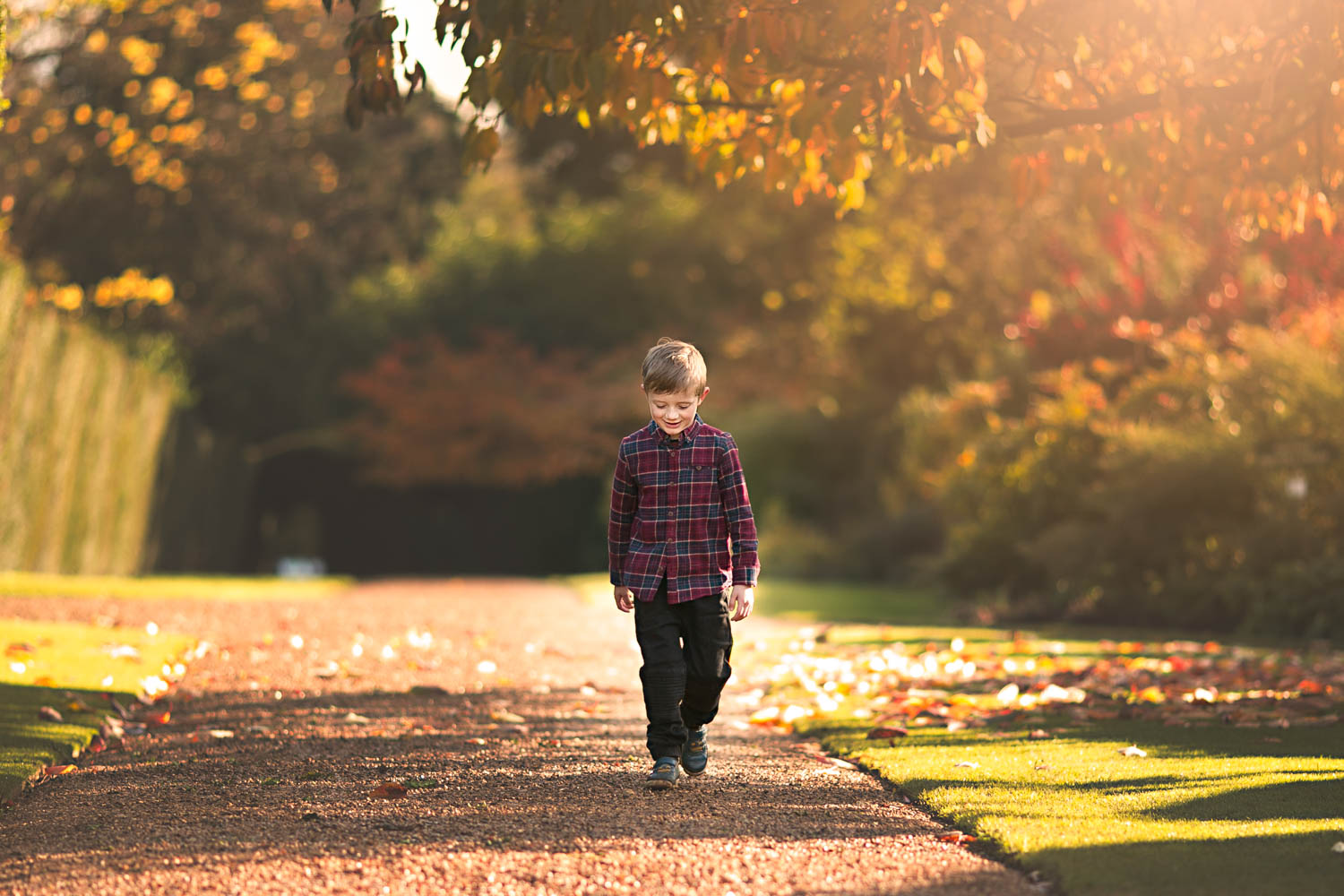  Young boy walking in the Autumn glow. 