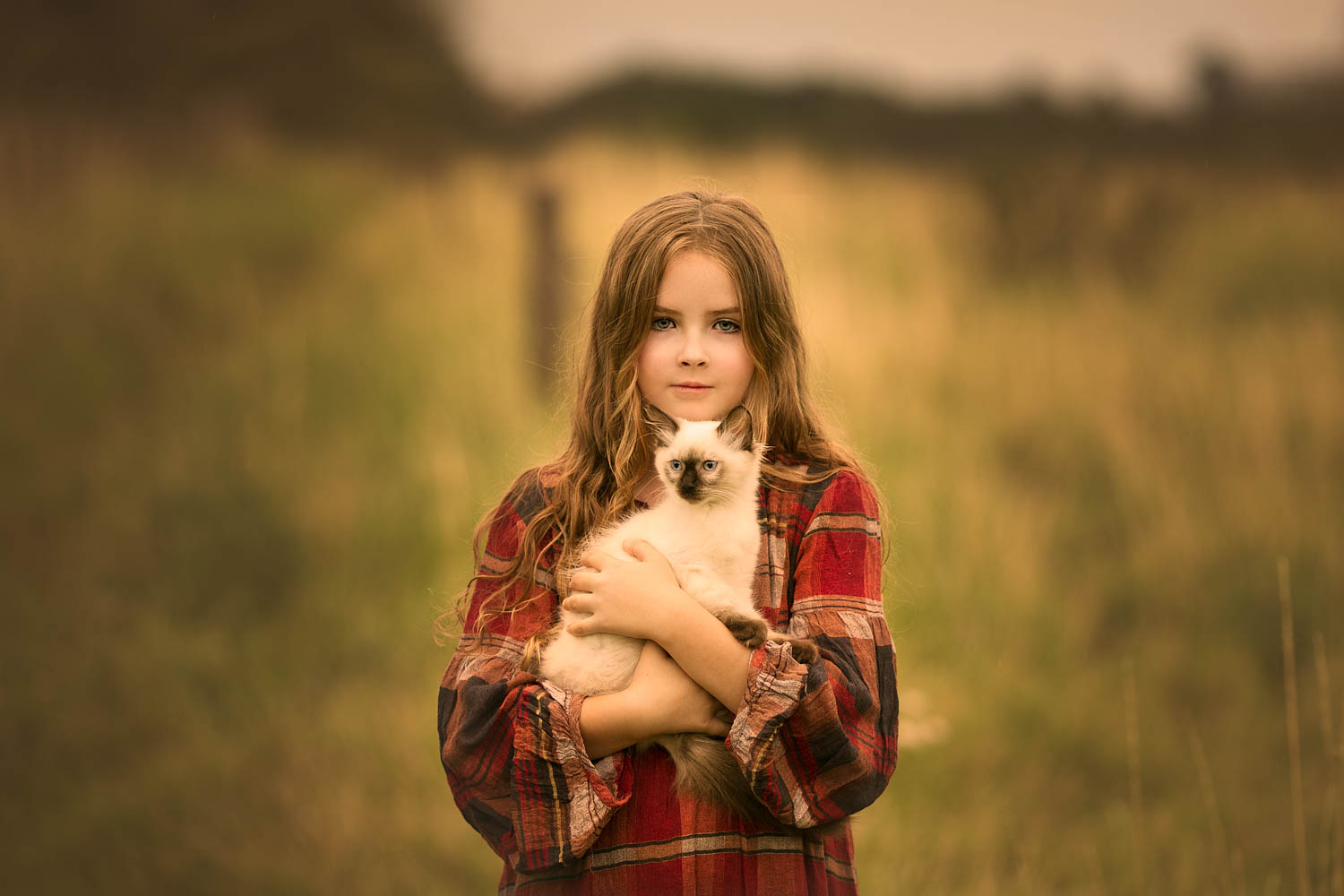 Child Portrait - Girl with cat.jpg