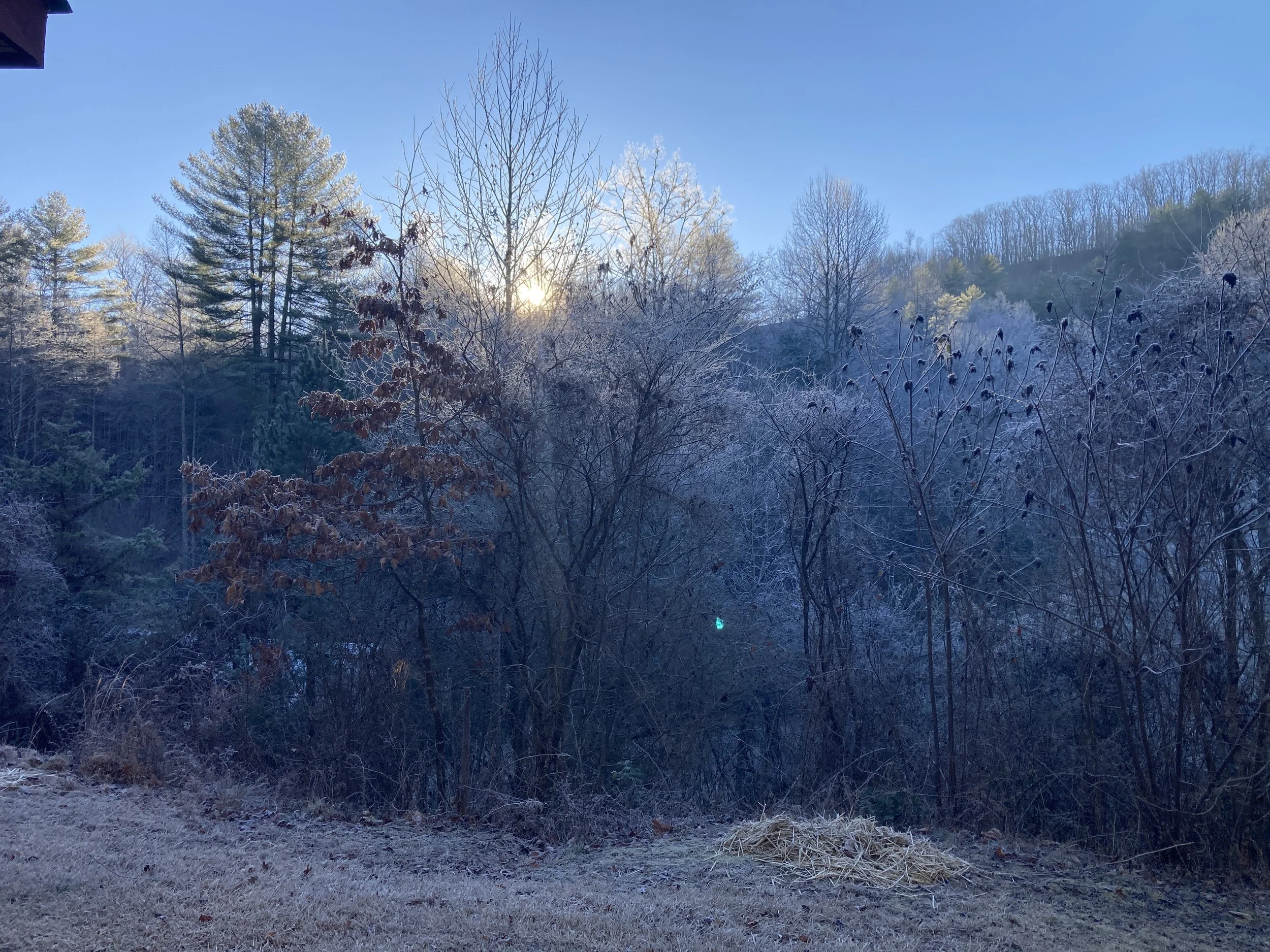 The Sound Of Falling Snow