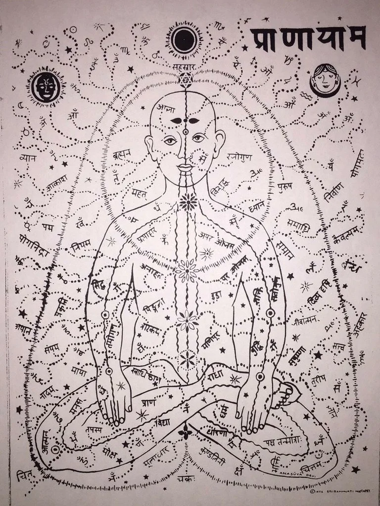 Intro to Sanskrit for Yoga Teachers (and anyone else who is interested!)