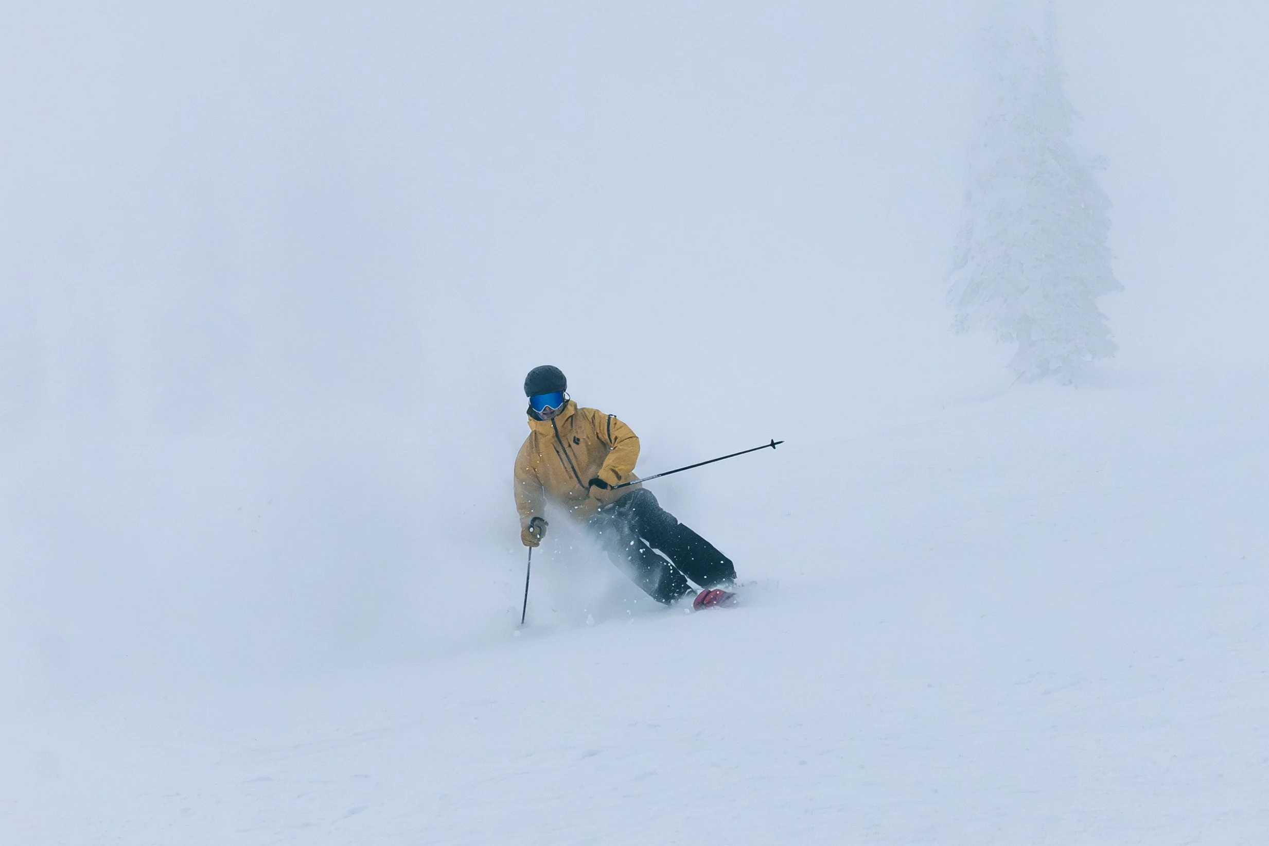 WhiteFish ReEdit-2.jpg