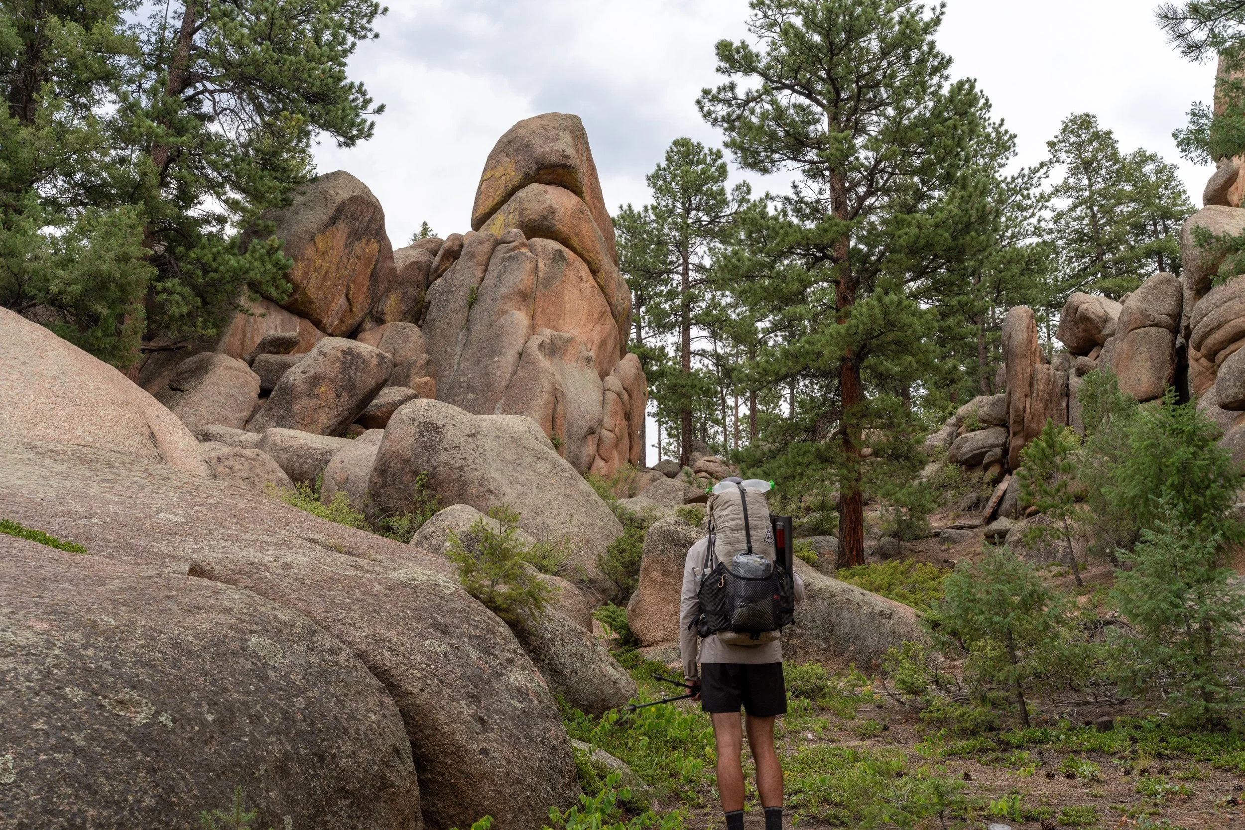 edited CT photo-30.jpeg