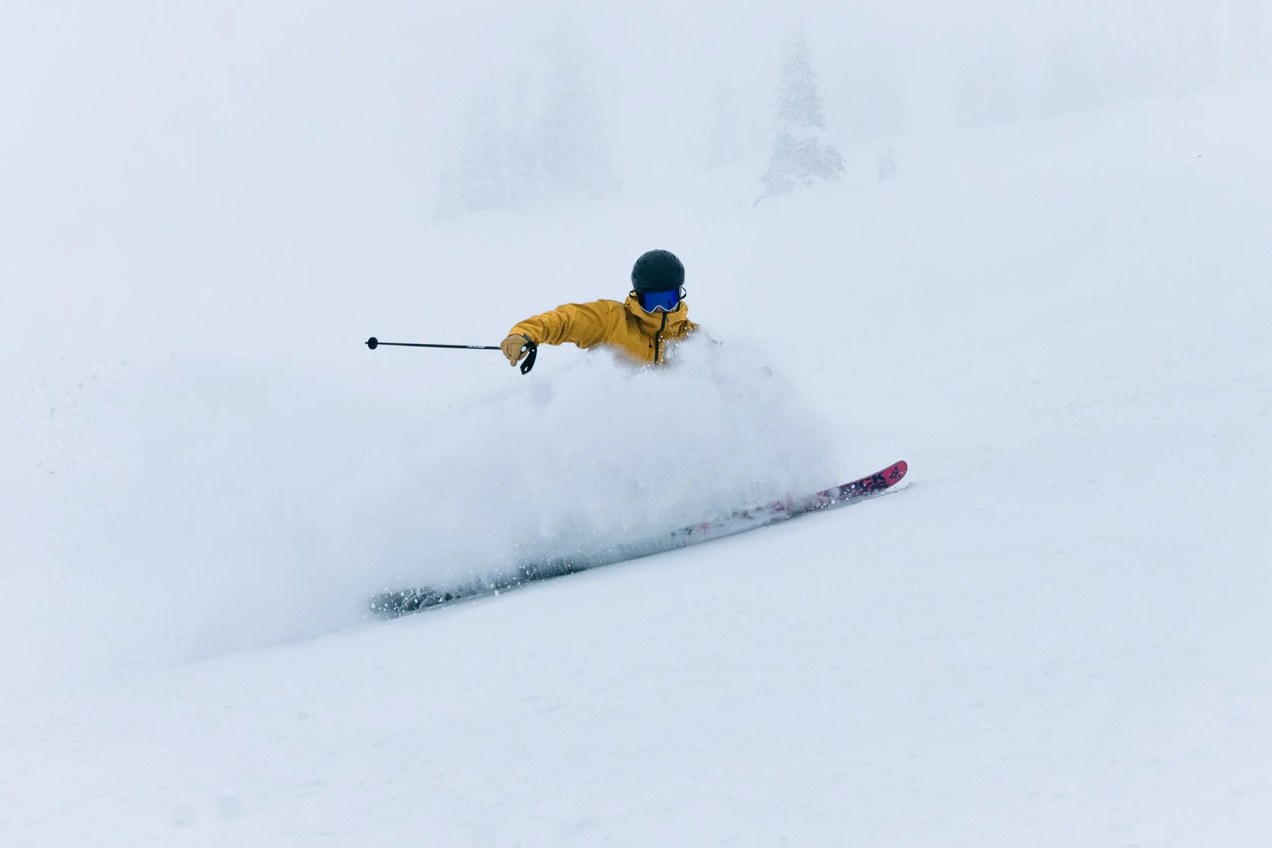 WhiteFish ReEdit-7.jpg