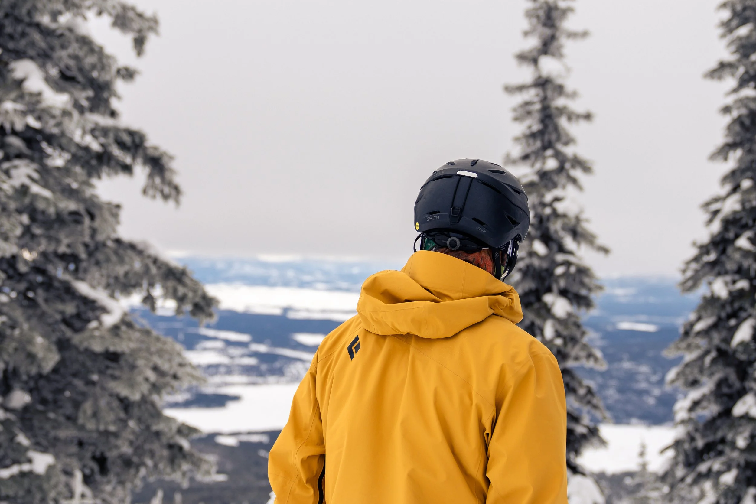 WhiteFish ReEdit-11.jpg