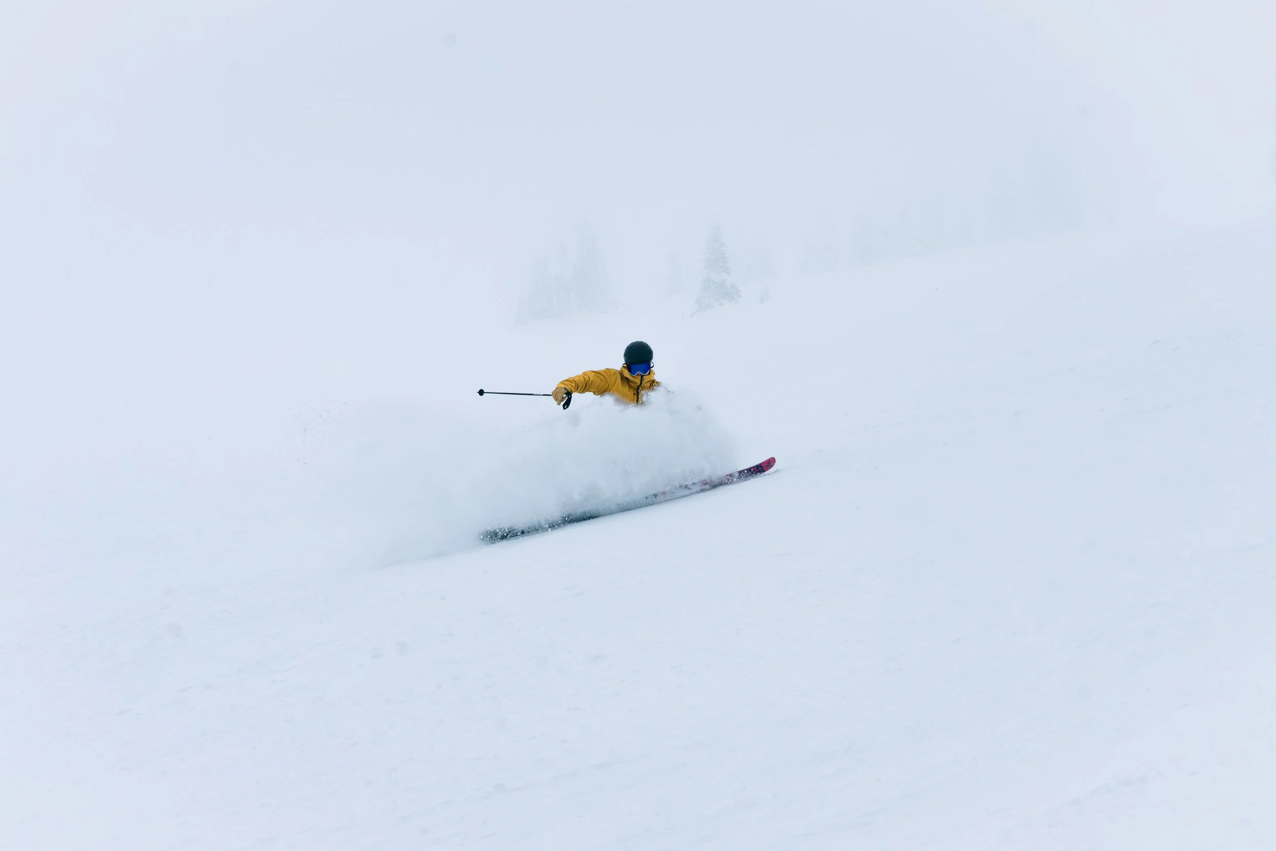 WhiteFish ReEdit-6.jpg