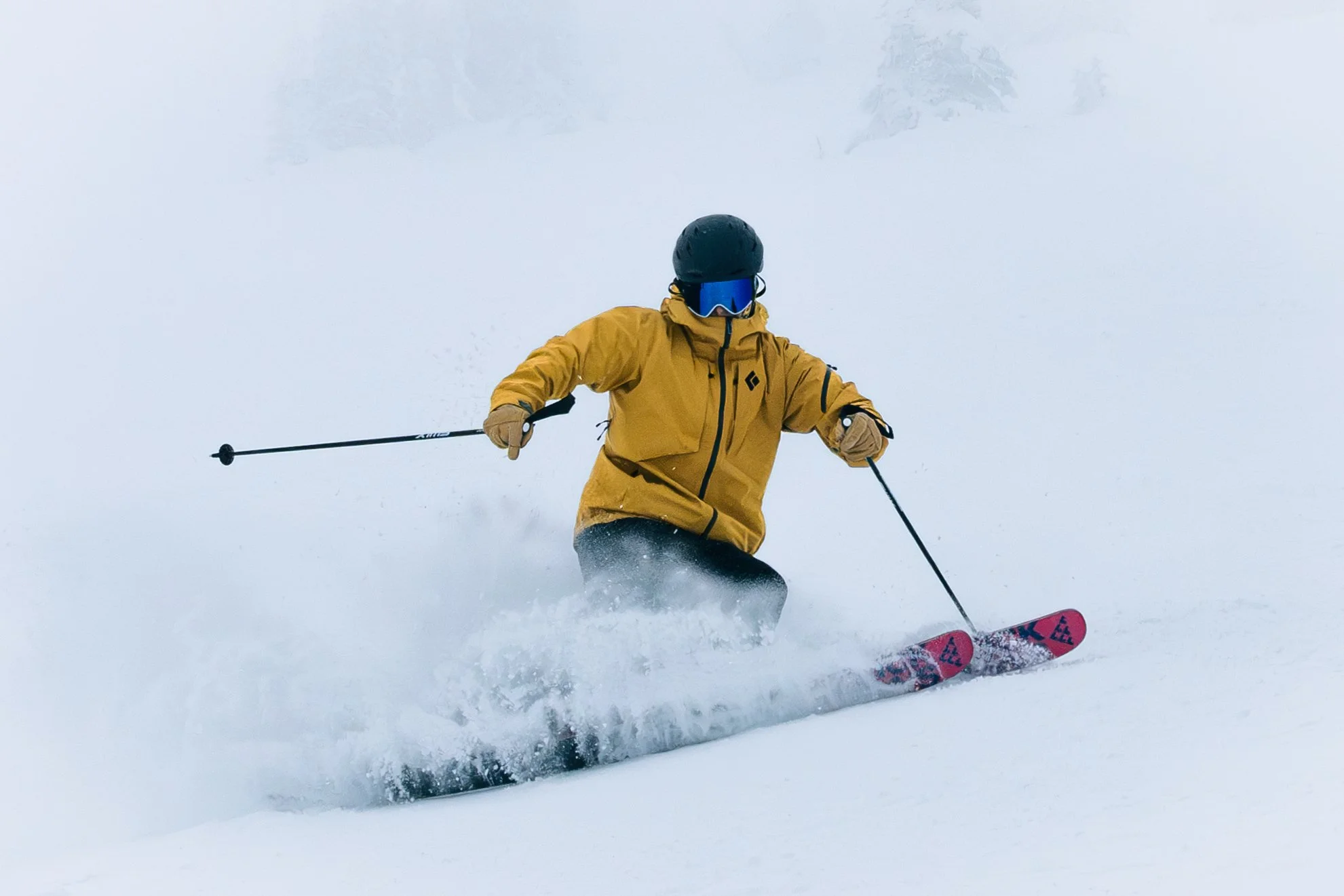The Art of Skiing