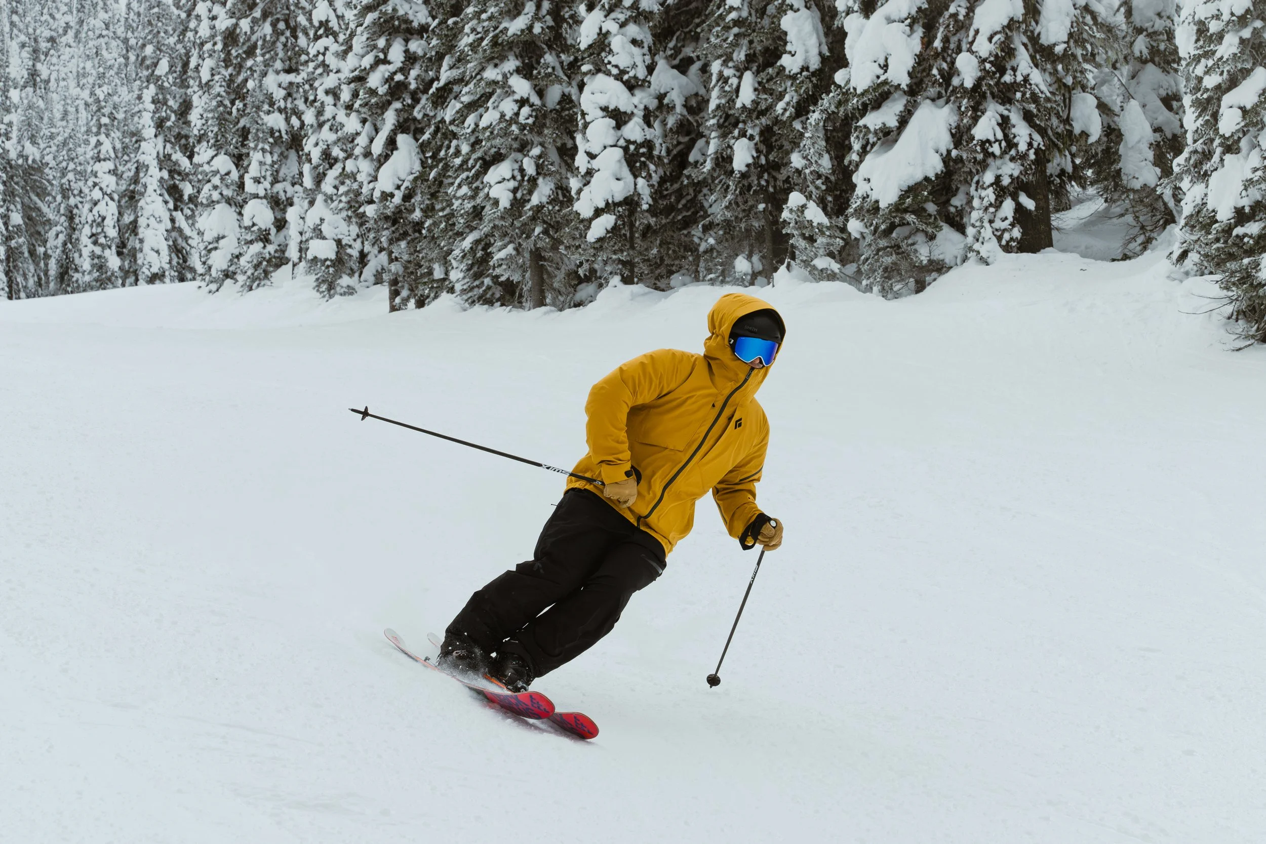 WhiteFish ReEdit-1.jpg