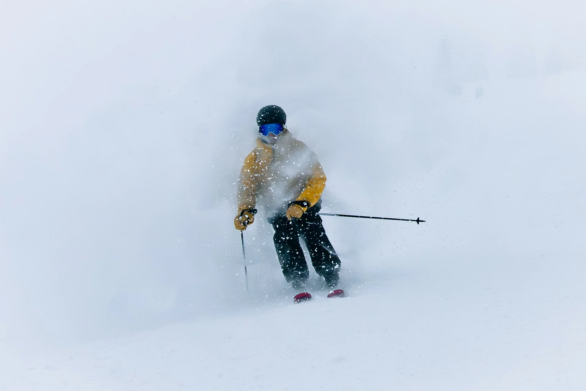 WhiteFish ReEdit-8.jpg
