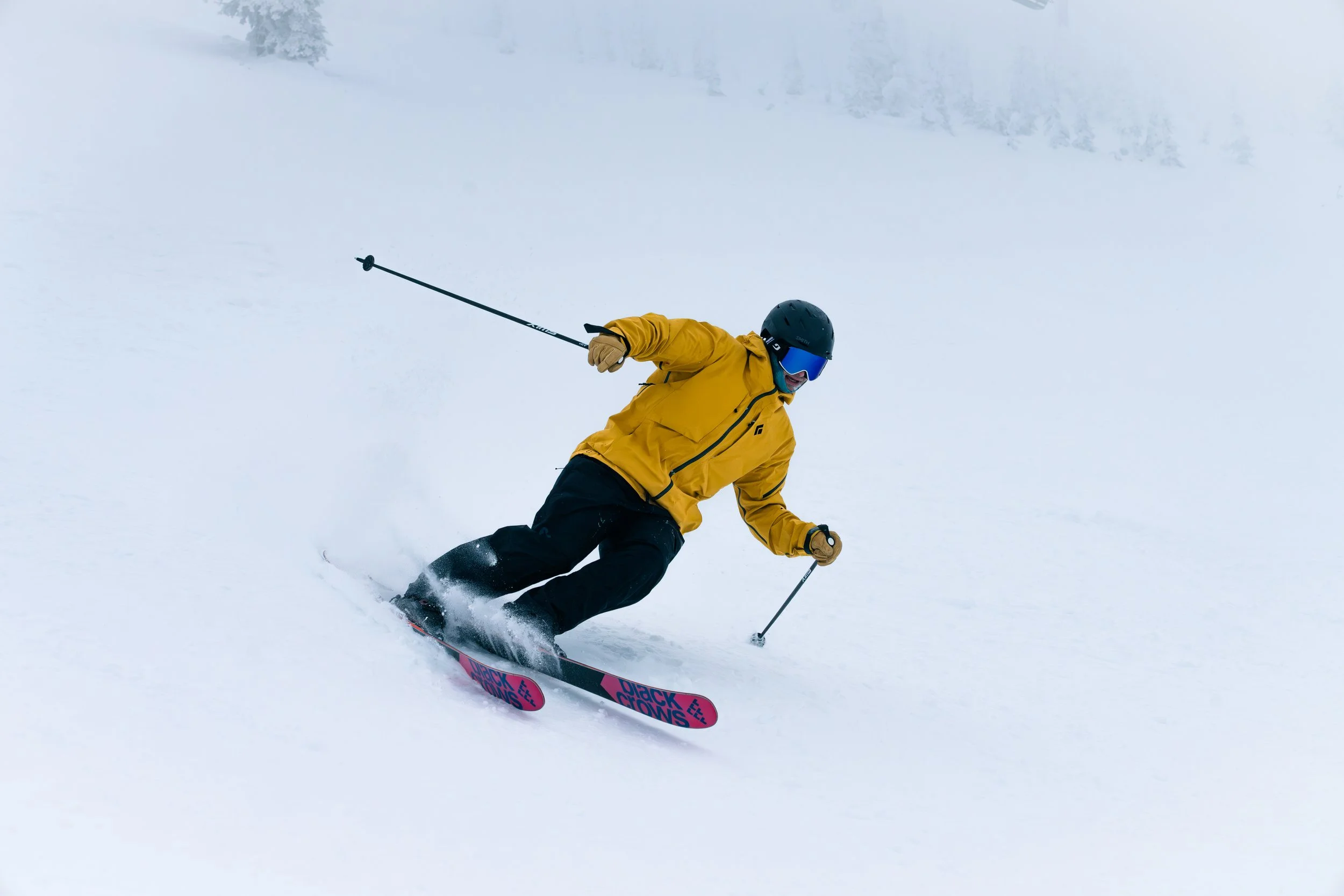 WhiteFish ReEdit-9.jpg