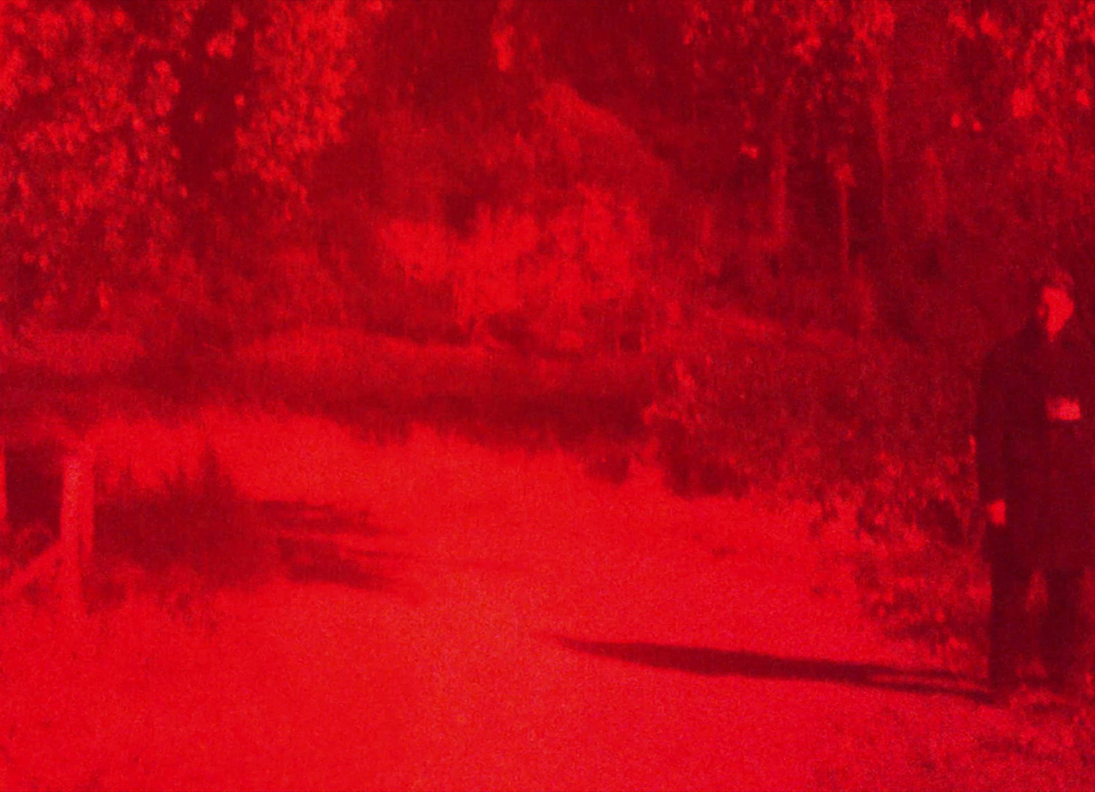 MANINTHEBUSHES#3 copy.jpeg