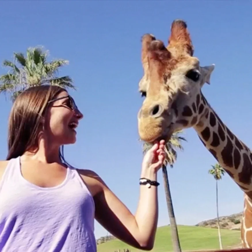 Safari thumbnail.jpg