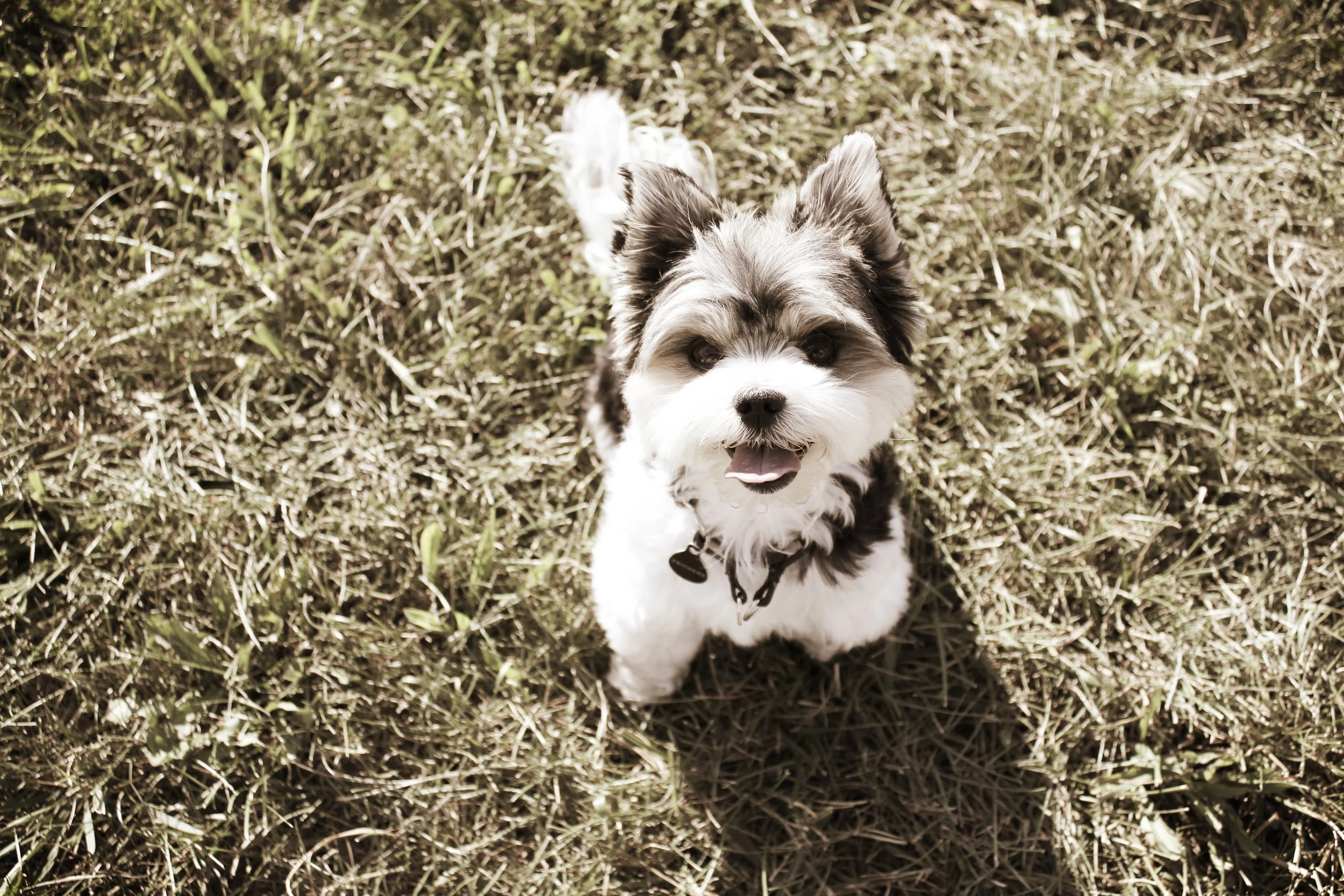 Uncle Snickers- Hershey, PA