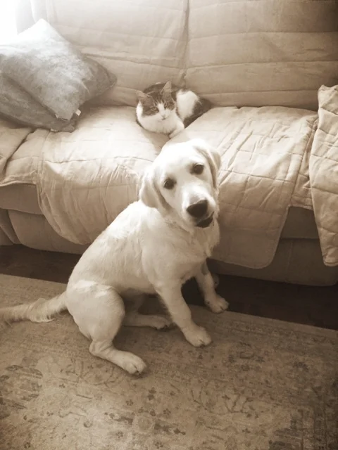 Layla & Betty- North Wales, PA