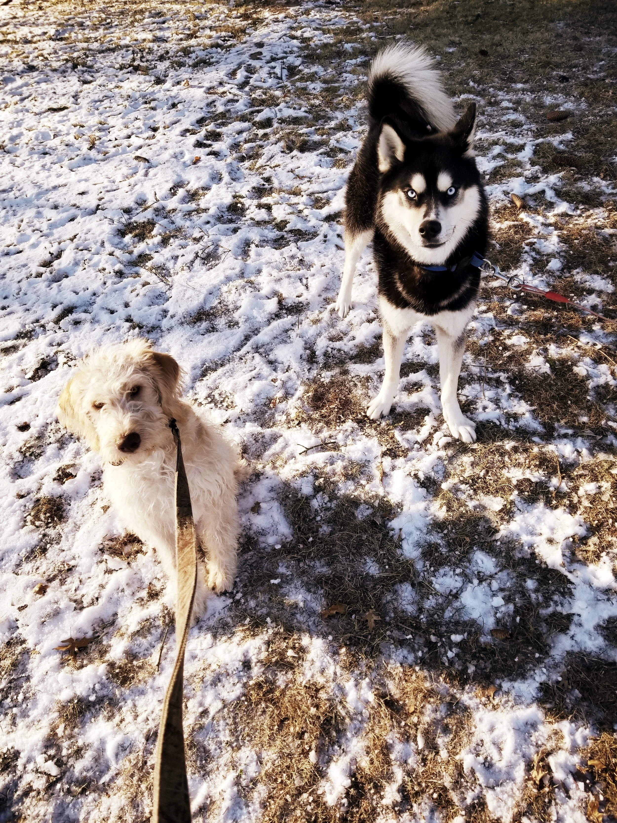 Mason & Bentley- Souderton, PA