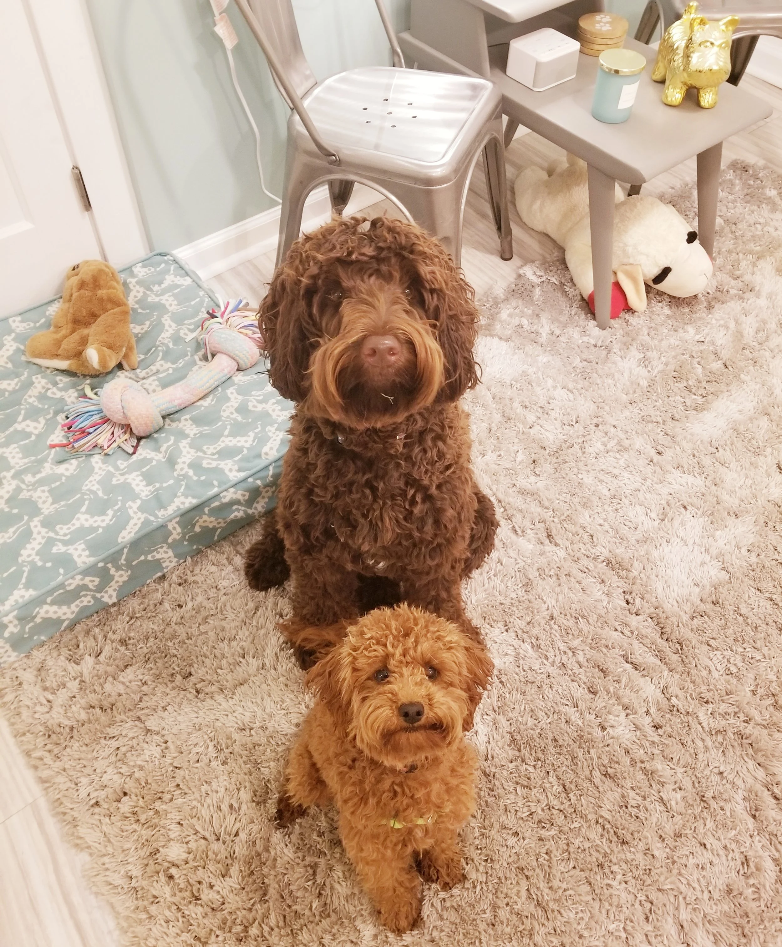 Norman &amp; Ellie- Lansdale, PA