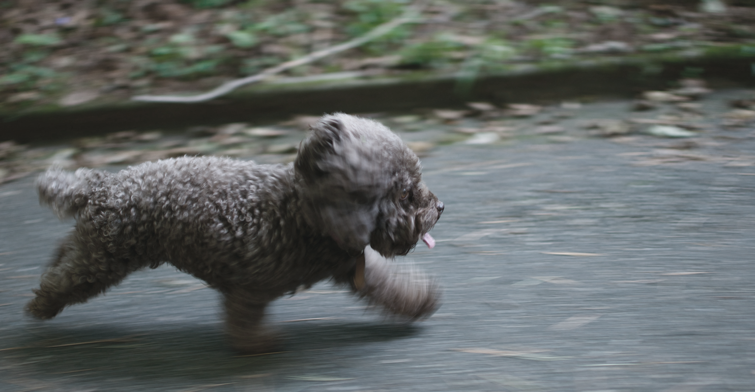 leo-rivas-CpkOjOcXdUY-unsplash.png
