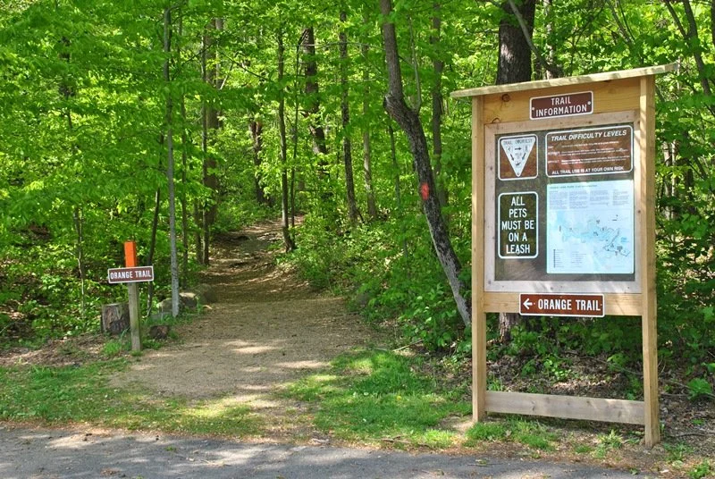 Get to Know Green Lane Park