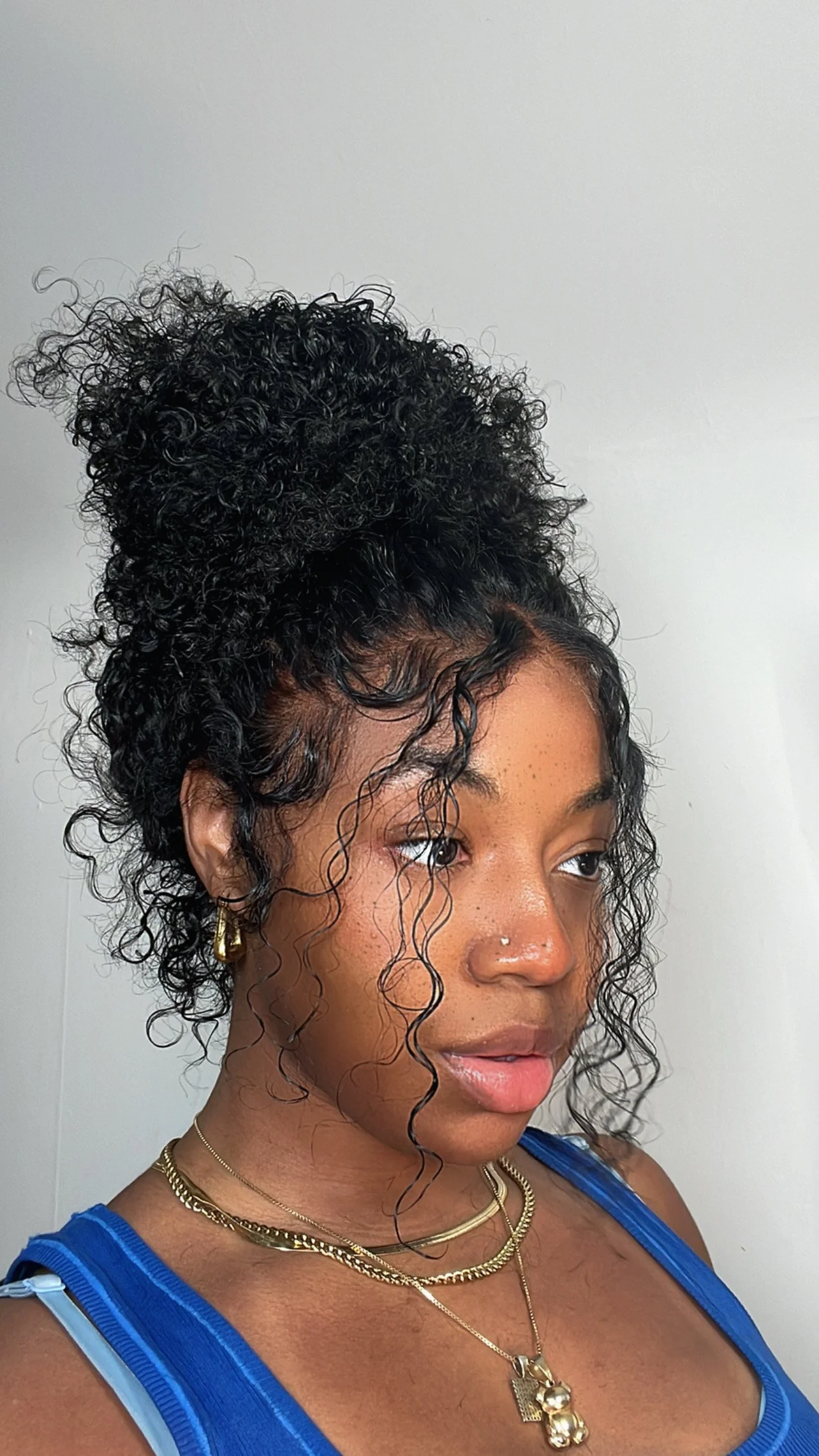 Alipearl Curly Lace Front Wig Updo 