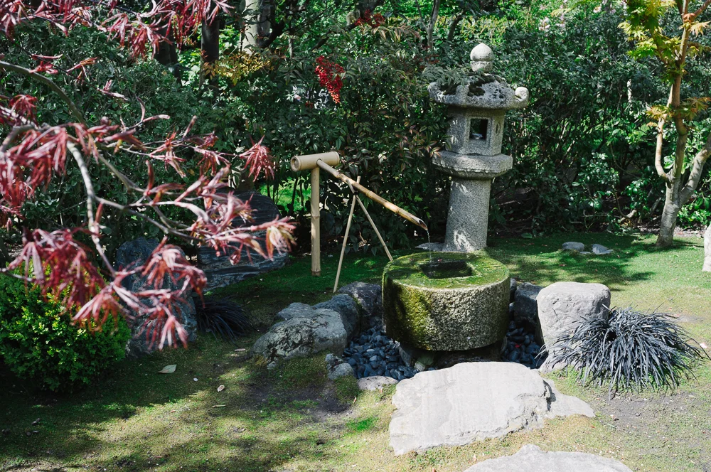 Japanese Garden in Holland park