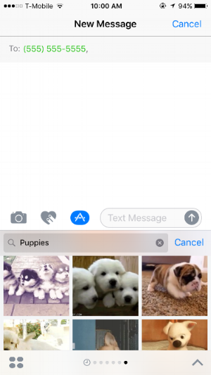 Search results for “puppies”