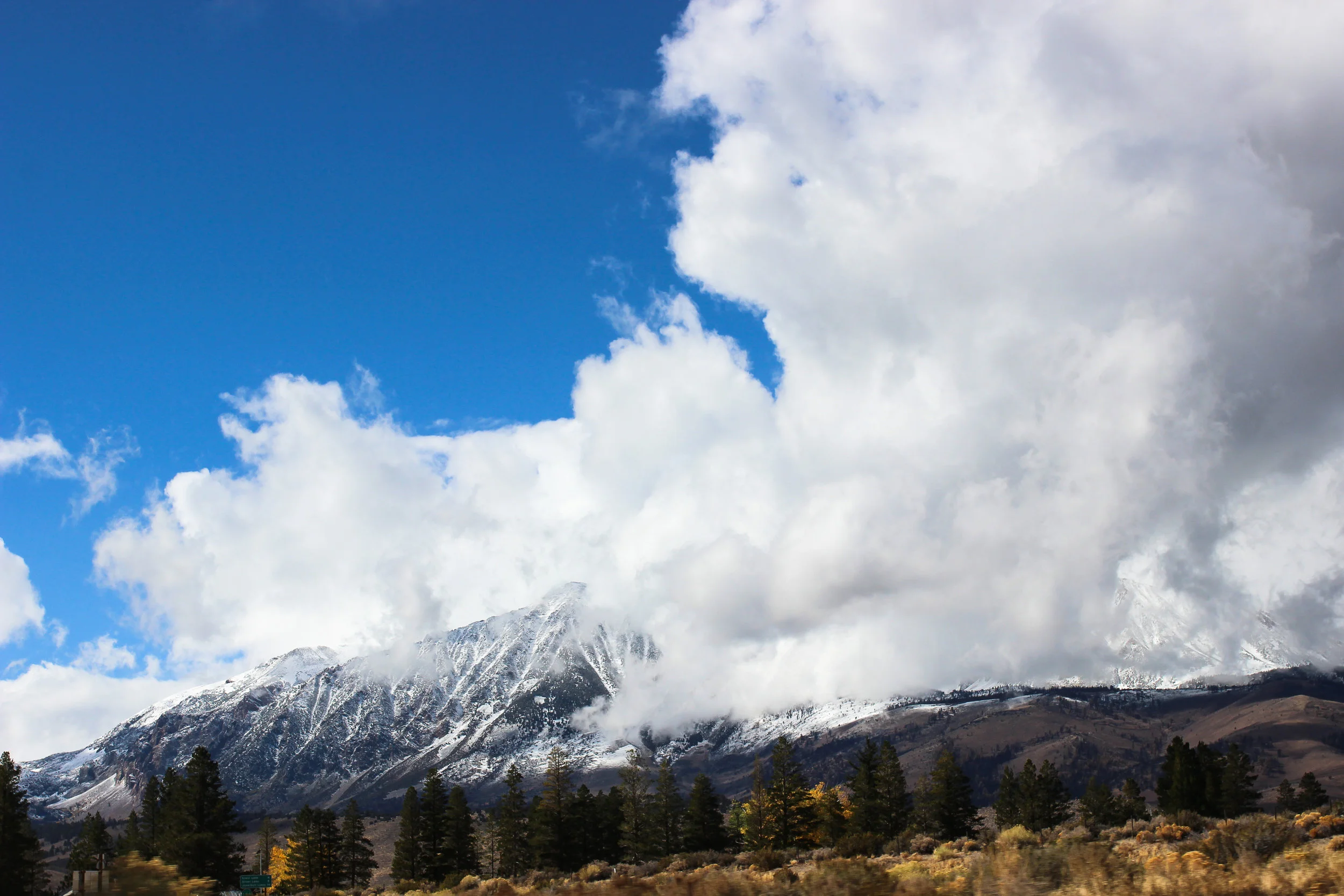 IMG_1342-for printing 4x6.jpg