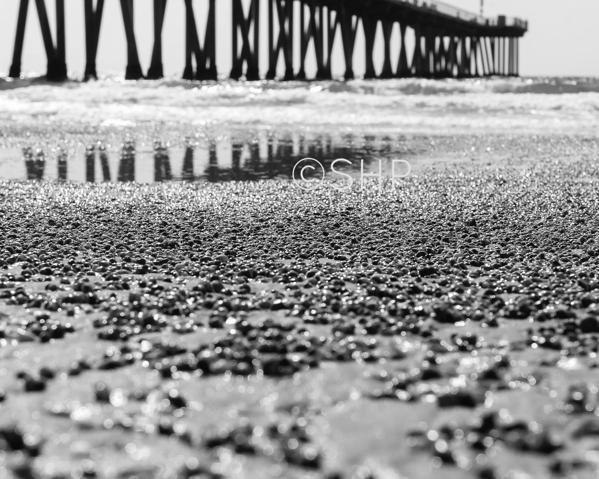 IMG_1602-for printing 8X8.jpg