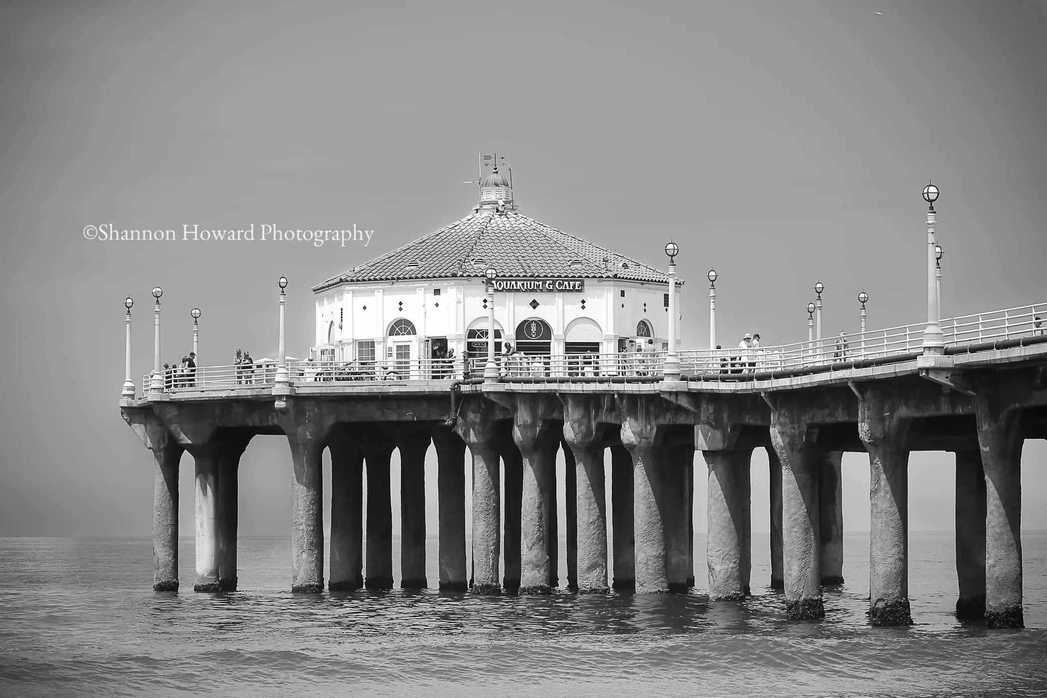 IMG_9637-for print 5x7.jpg