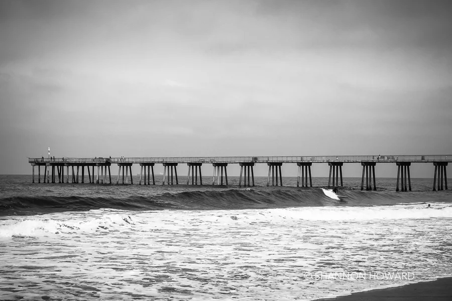 IMG_3154.jpg