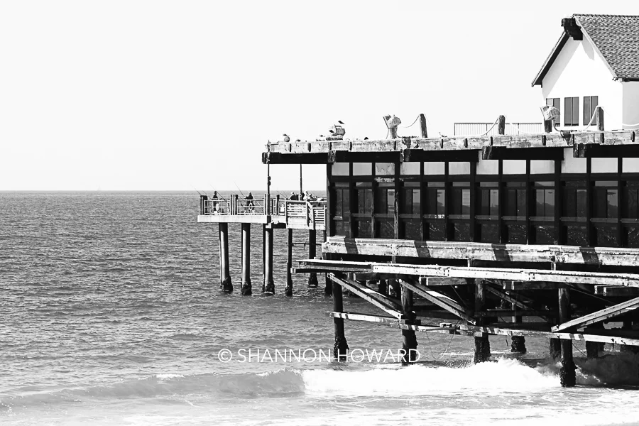 PIER 3