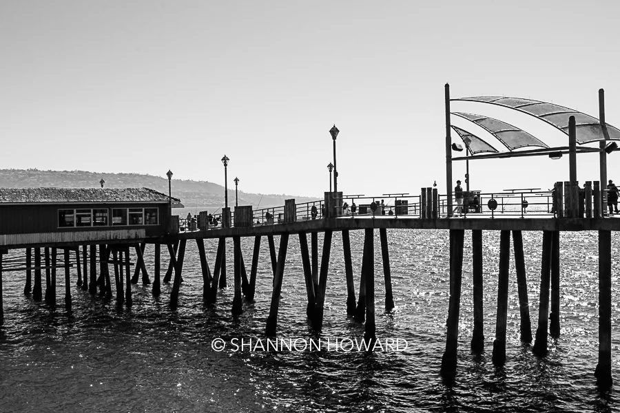 PIER 6