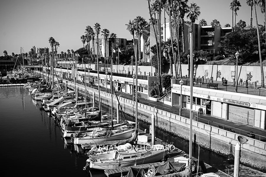 PIER 15
