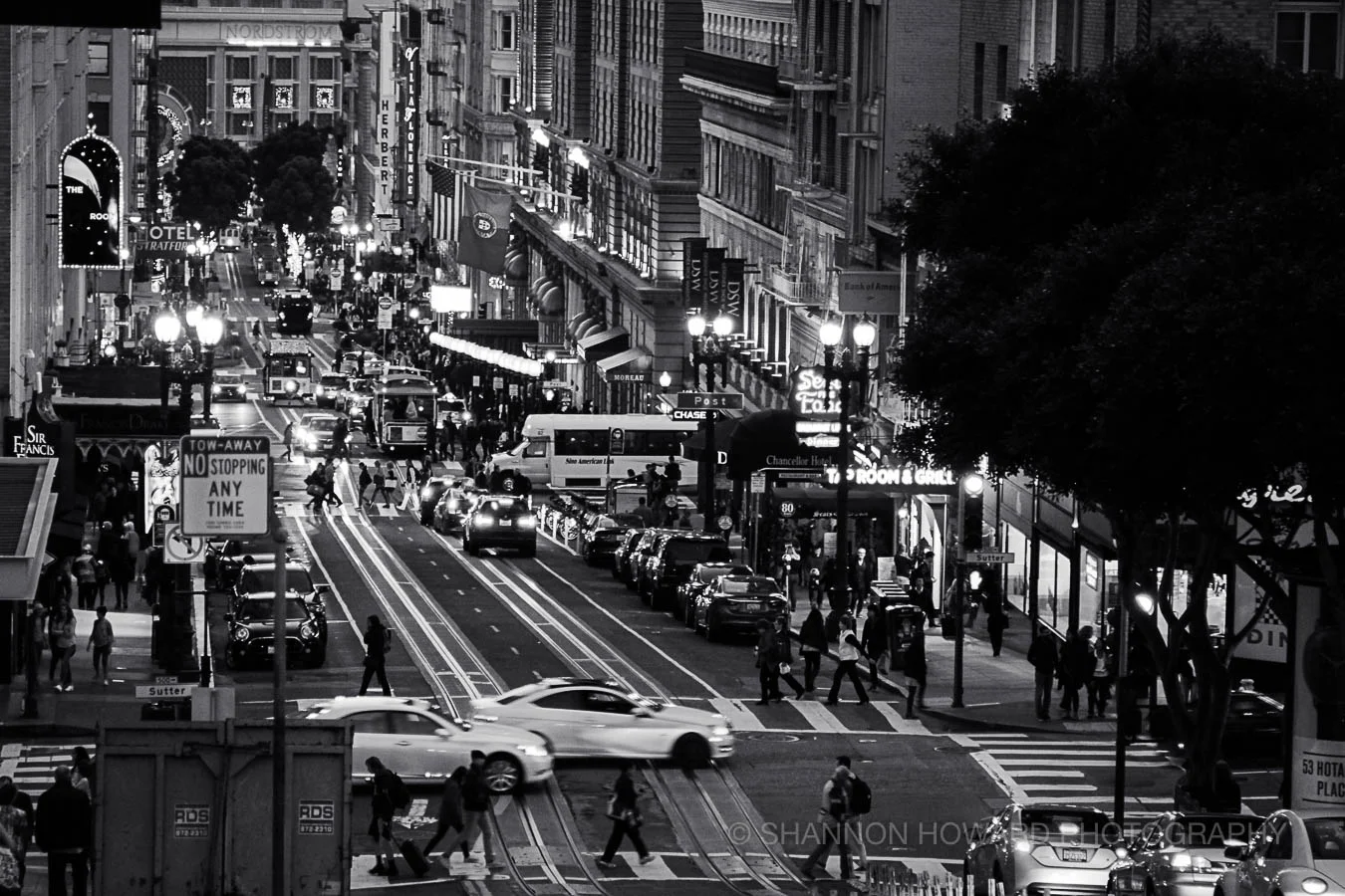 "Pulse" -- San Francisco, 2017. ©Shannon Howard
