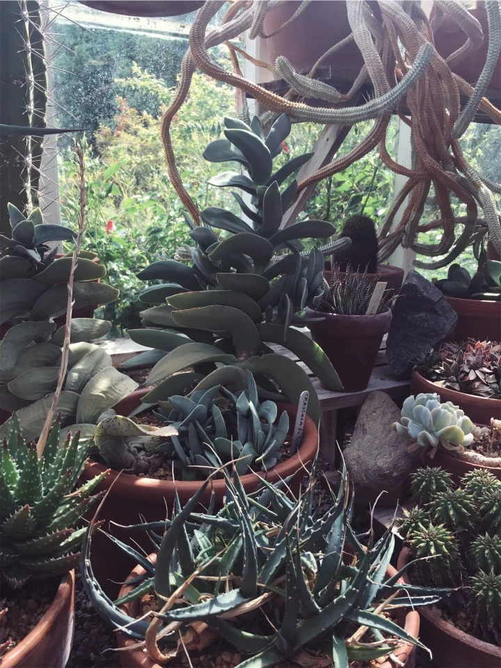 vsco5b1c7d5334d61.jpg