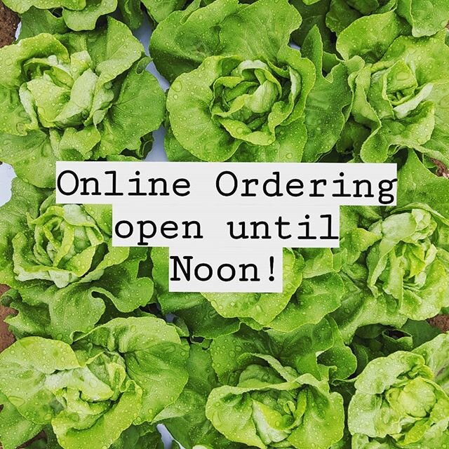 Get your preorders  in for market tomorrow! We'll be at @chfarmersmarket and @carrborofarmersmarket tomorrow morning, or pick up at the farm tomorrow afternoon.