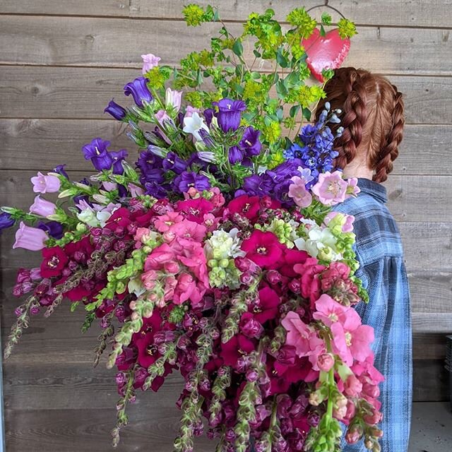 Flowers galore! The online store is open until noon Friday for pick up @carrborofarmersmarket, @chfarmersmarket and at the farm in #rougemont north of #durham.