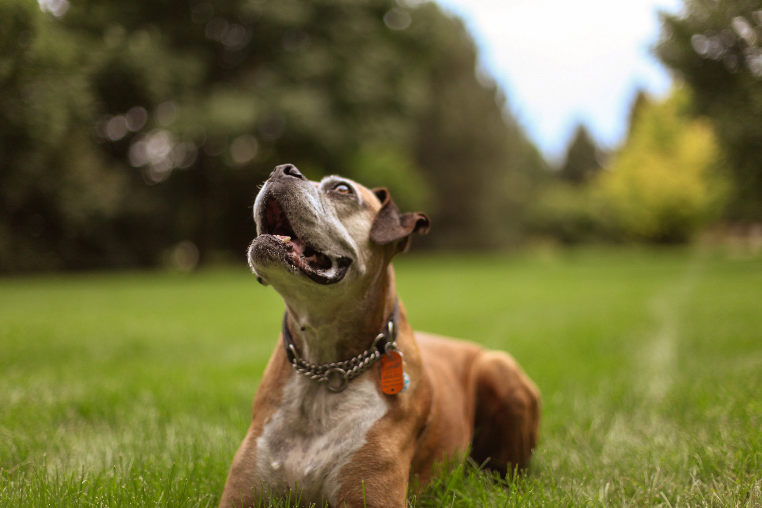 Chrissy Website 8.jpg