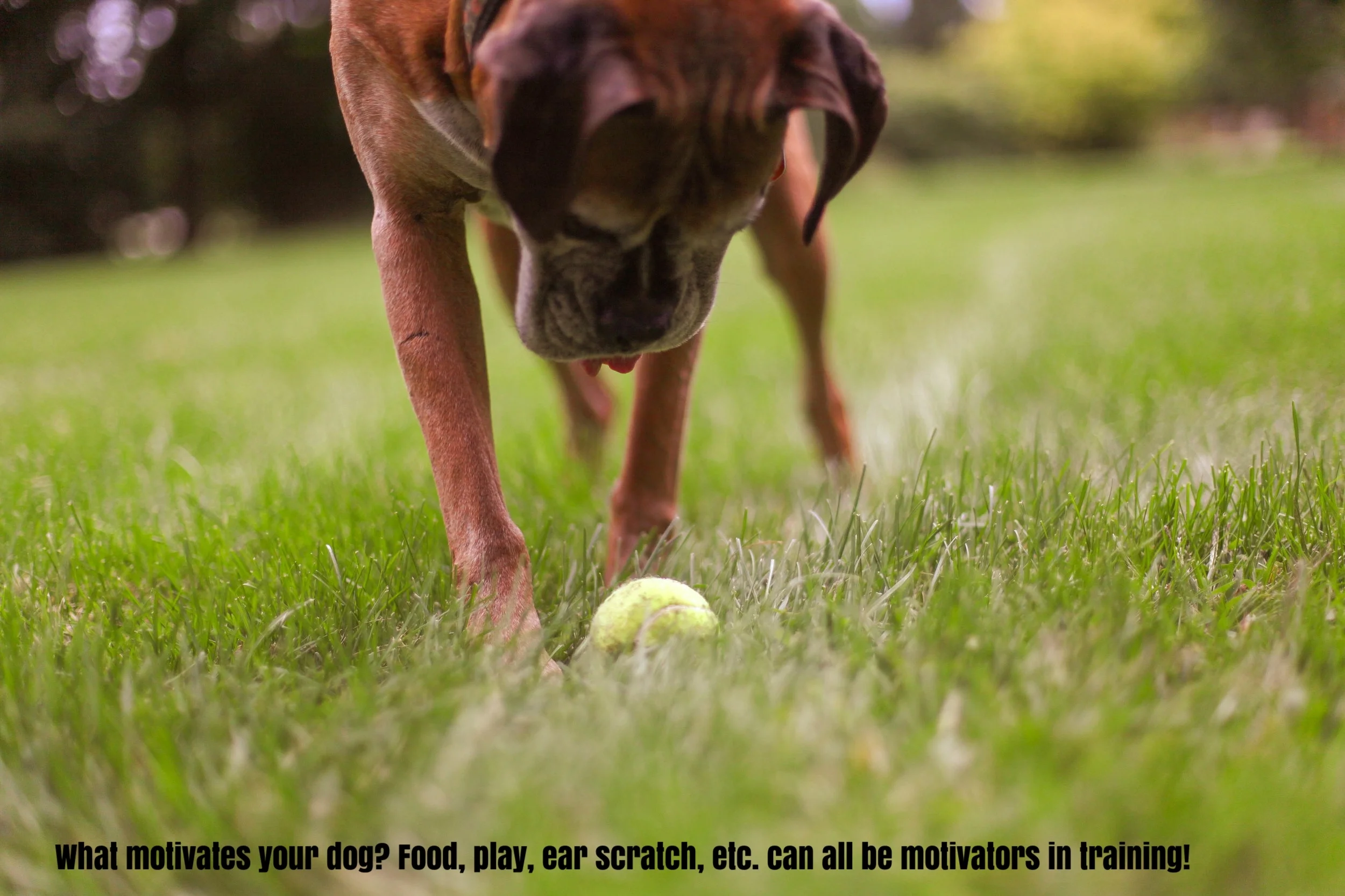 what motivates?.jpg