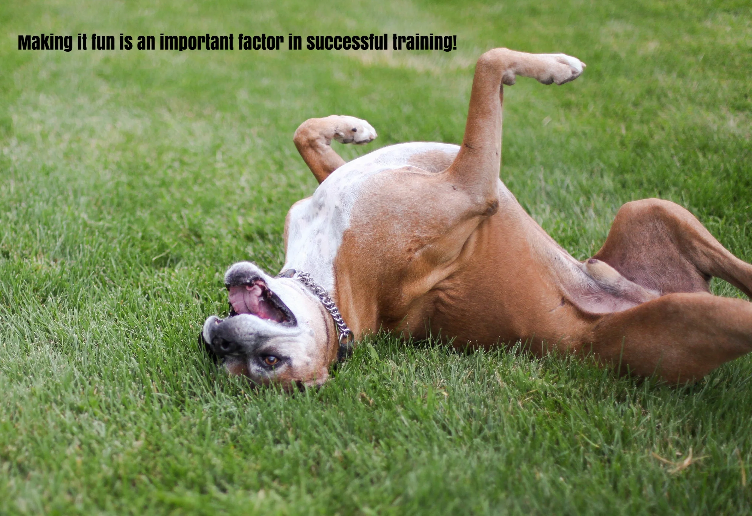 remember play is importaing.jpg