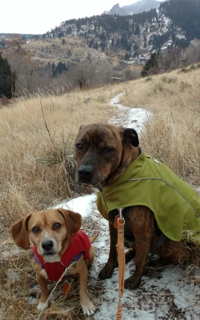 5. “TAKE A HIKE!” (Learning On the Go/Walk & Train Sessions) includes: a. 2 – 1hr. sessions ~ $76 b. 4 – 1hr. sessions~ $152 c. 6 – 1hr. sessions~ $228 d. 8 - 1hr. sessions~ $304