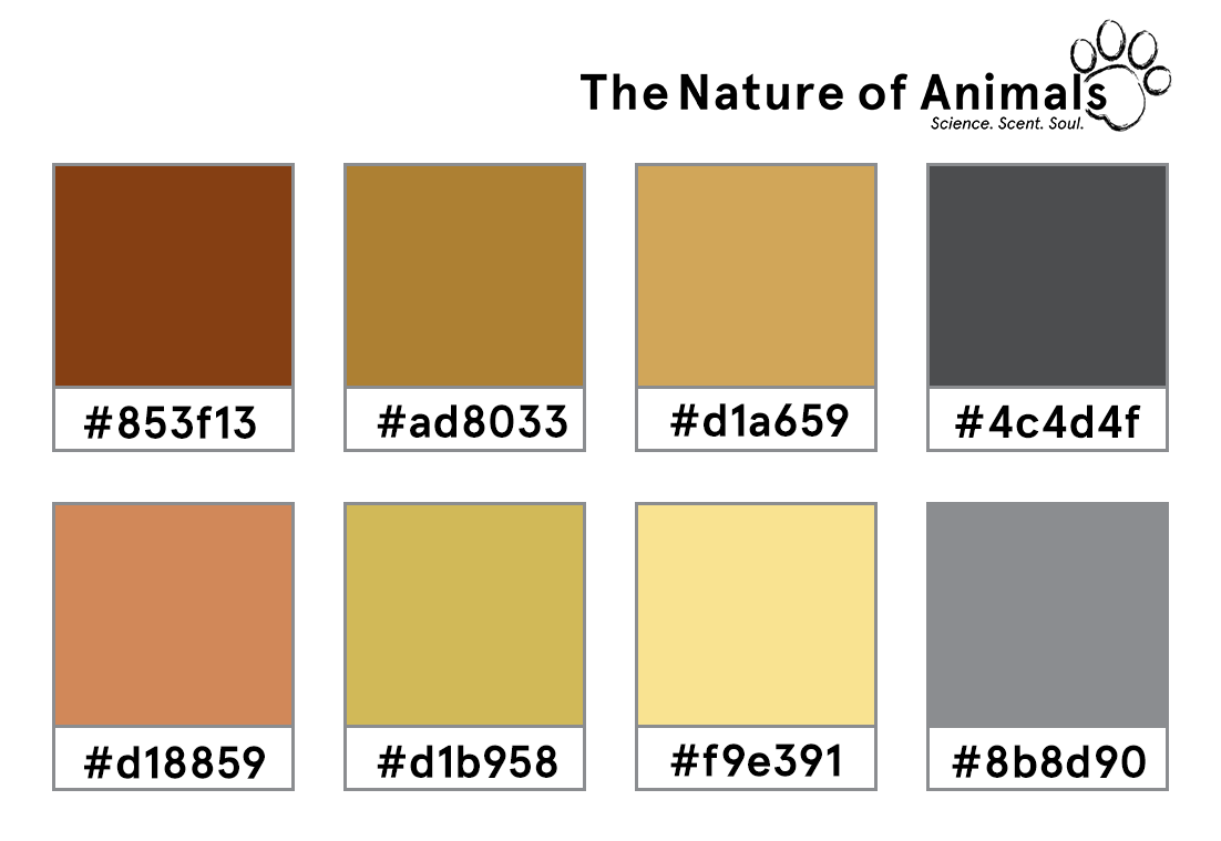 tnoa18_color_pallate.png
