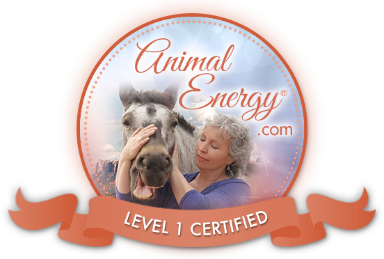 AE_Cert_Badge.png