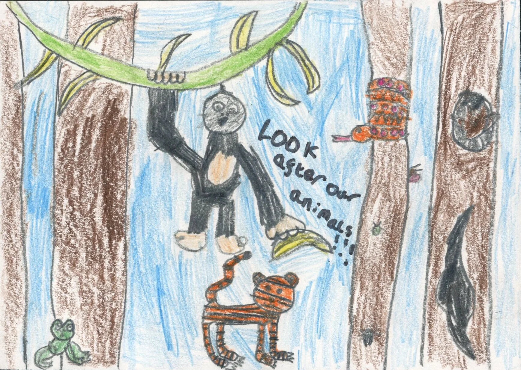 Prize Winner Best Visual Message, Joni aged 7