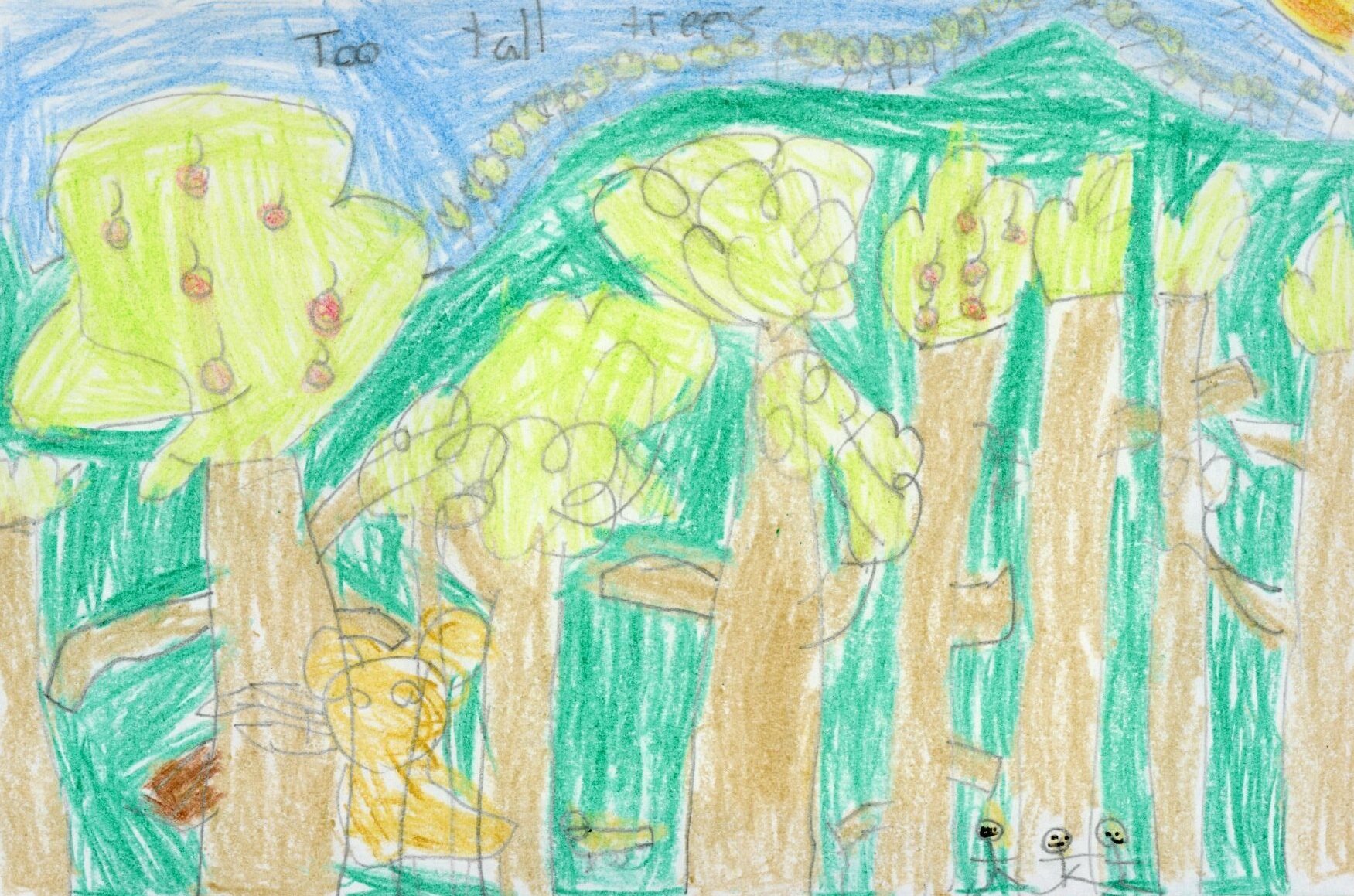 Prize Winner Daniel aged 7