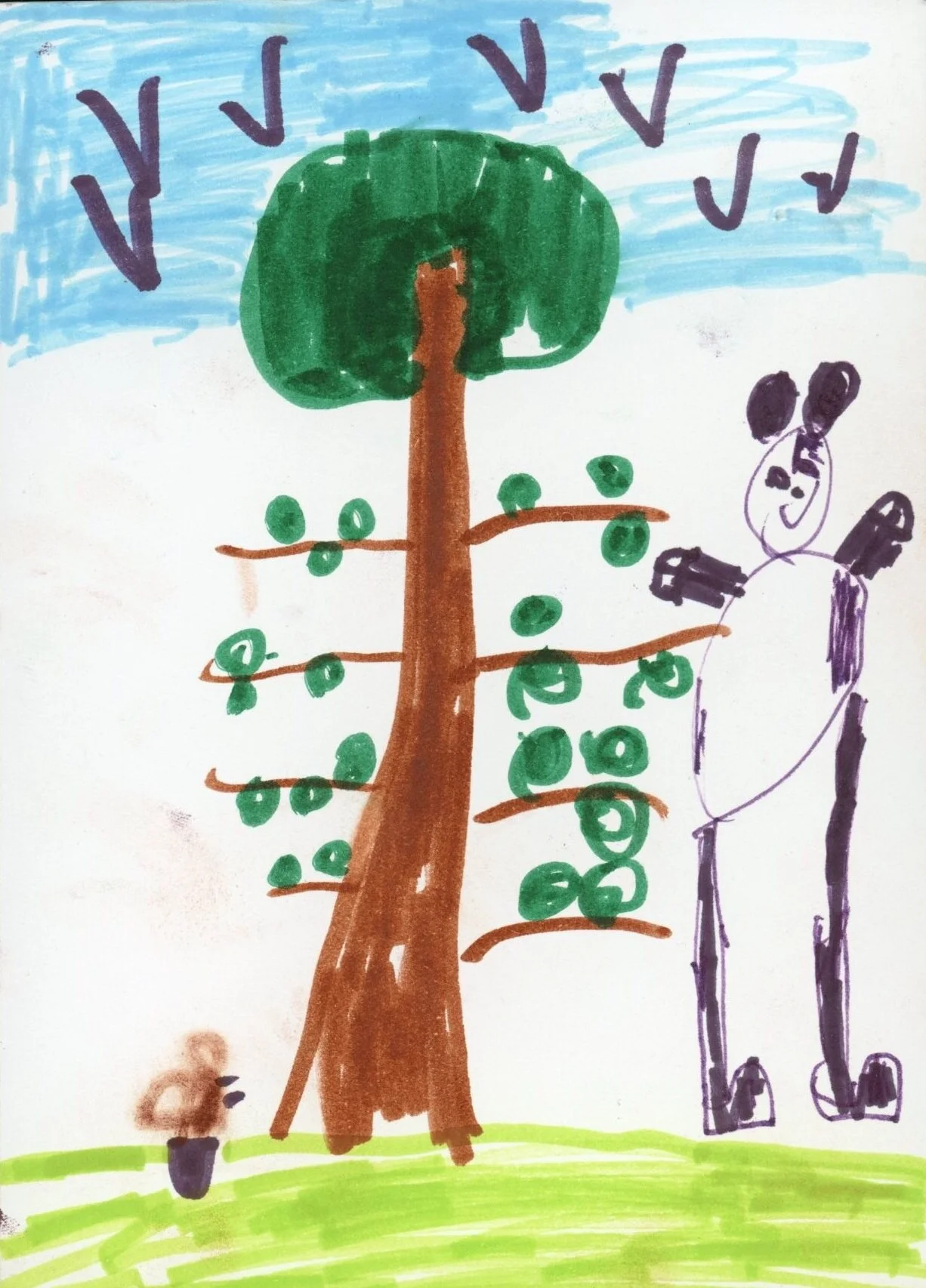 Prize Winner Jack aged 7