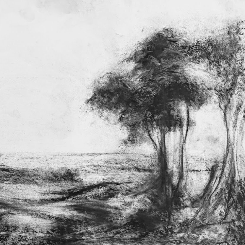 Drawing the Landscape in Charcoal  The Landscape Atelier